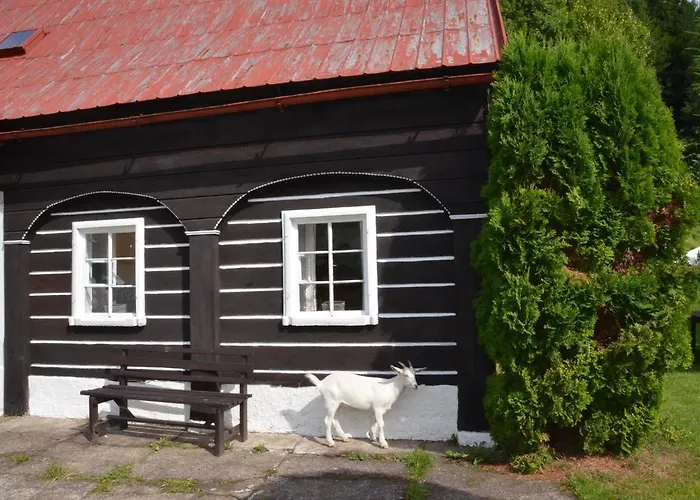 Casa de hóspedes U Kozy